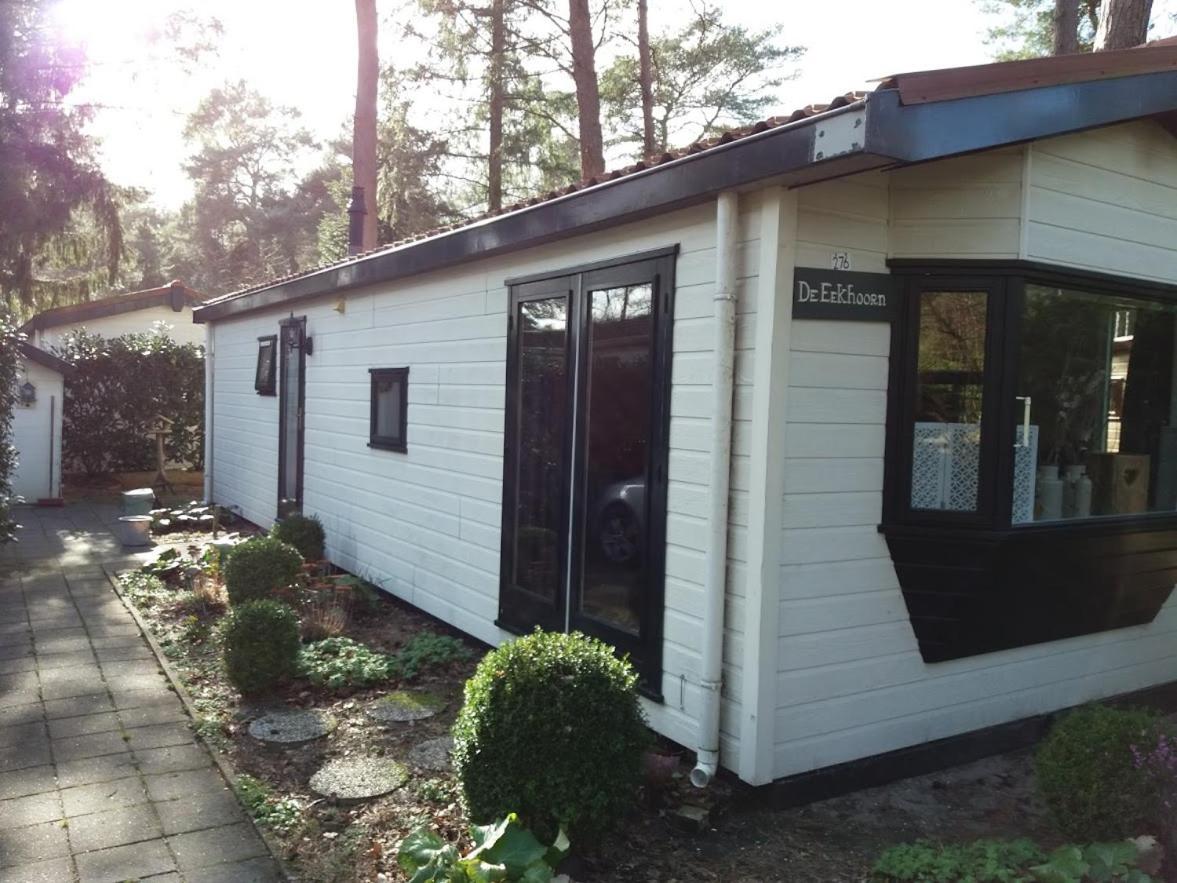 Chalet De Eekhoorn Diever Zewnętrze zdjęcie