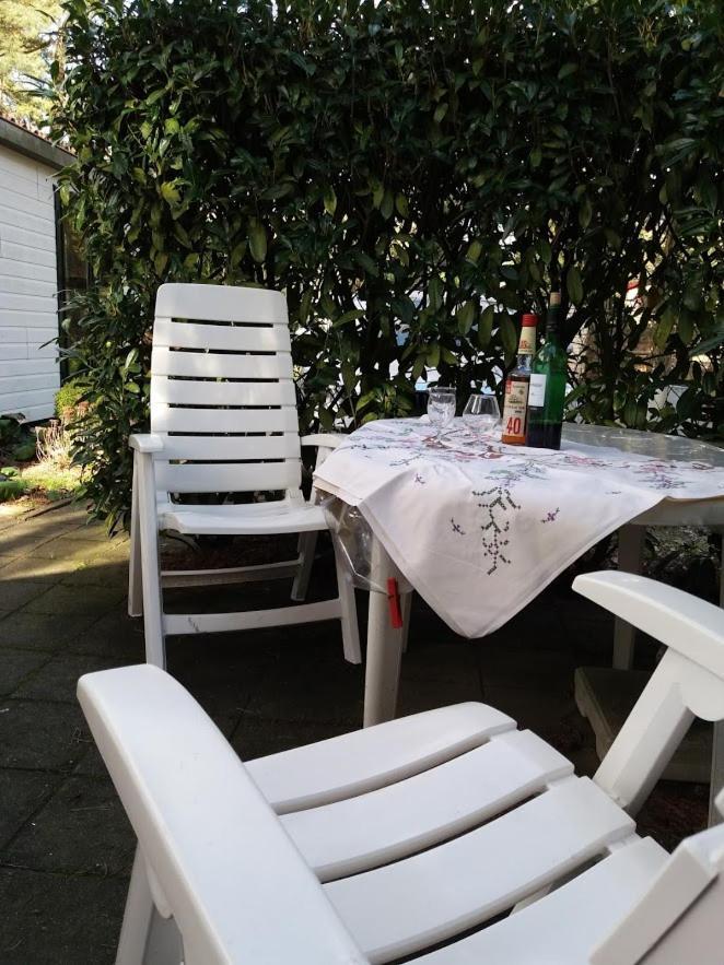 Chalet De Eekhoorn Diever Zewnętrze zdjęcie